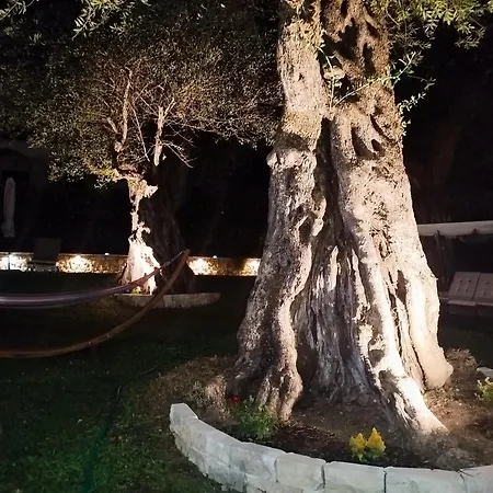 Kelly דירה איפסוס