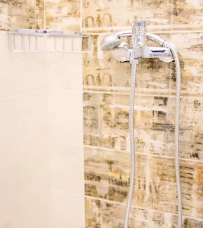 Kelly * 阿普索斯